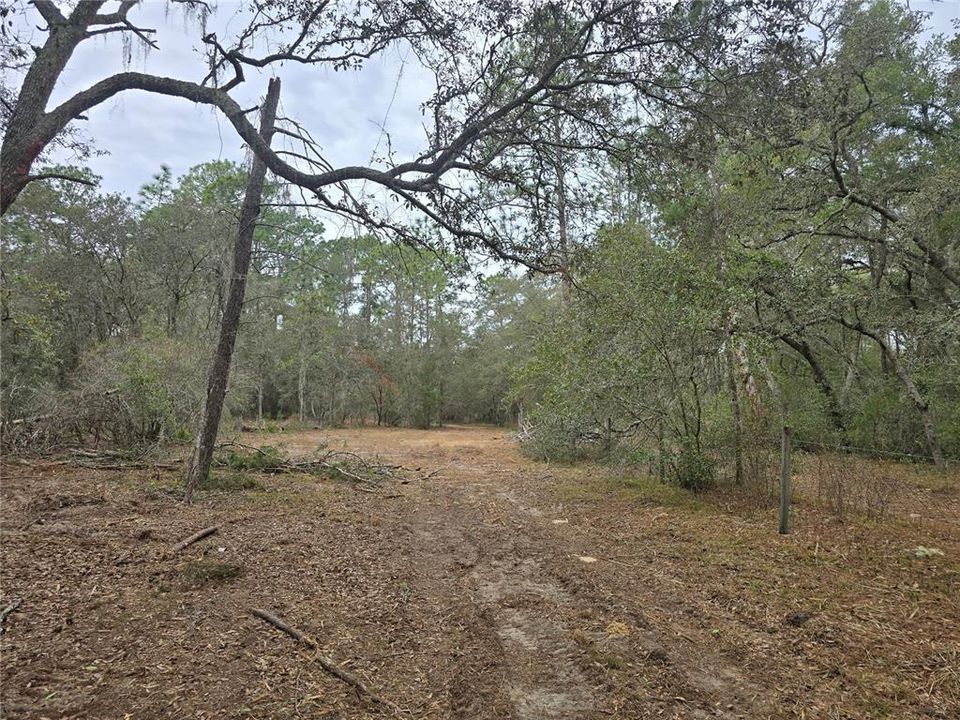 На продажу: $110,000 (5.07 acres)