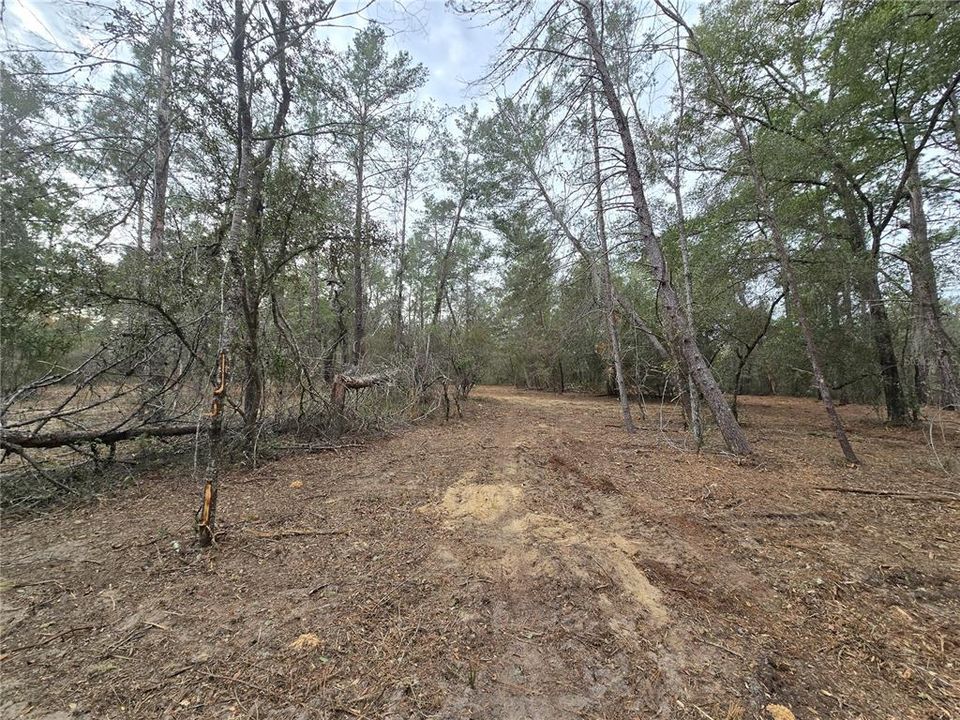 На продажу: $110,000 (5.07 acres)