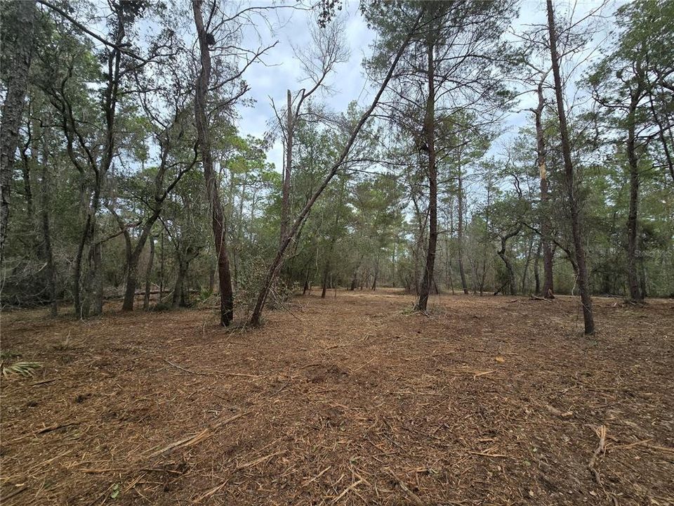 На продажу: $110,000 (5.07 acres)