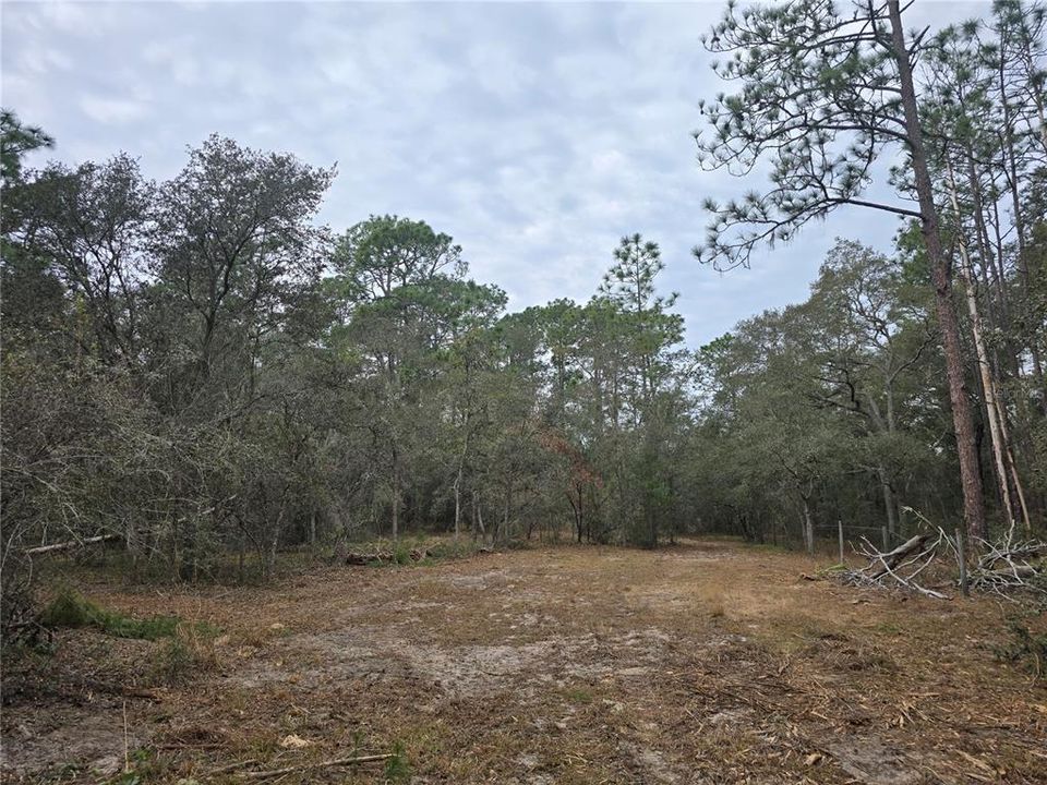 На продажу: $110,000 (5.07 acres)