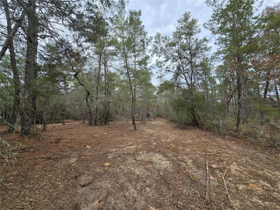 На продажу: $110,000 (5.07 acres)