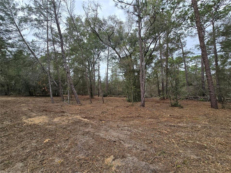 На продажу: $110,000 (5.07 acres)