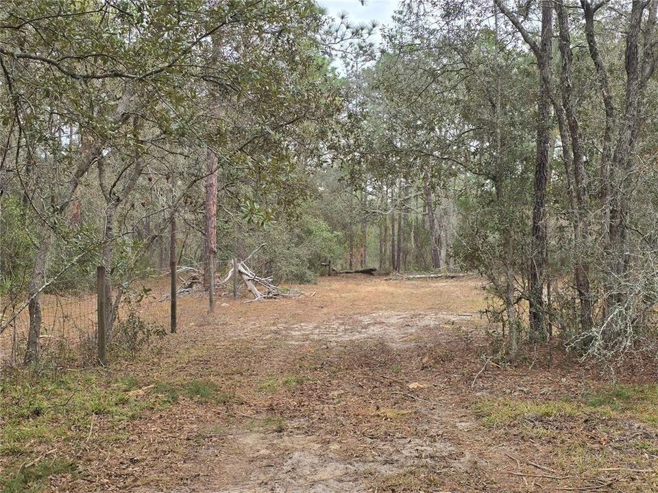 На продажу: $110,000 (5.07 acres)