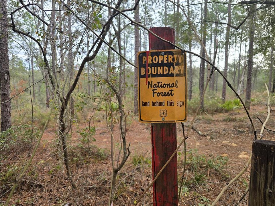 На продажу: $110,000 (5.07 acres)