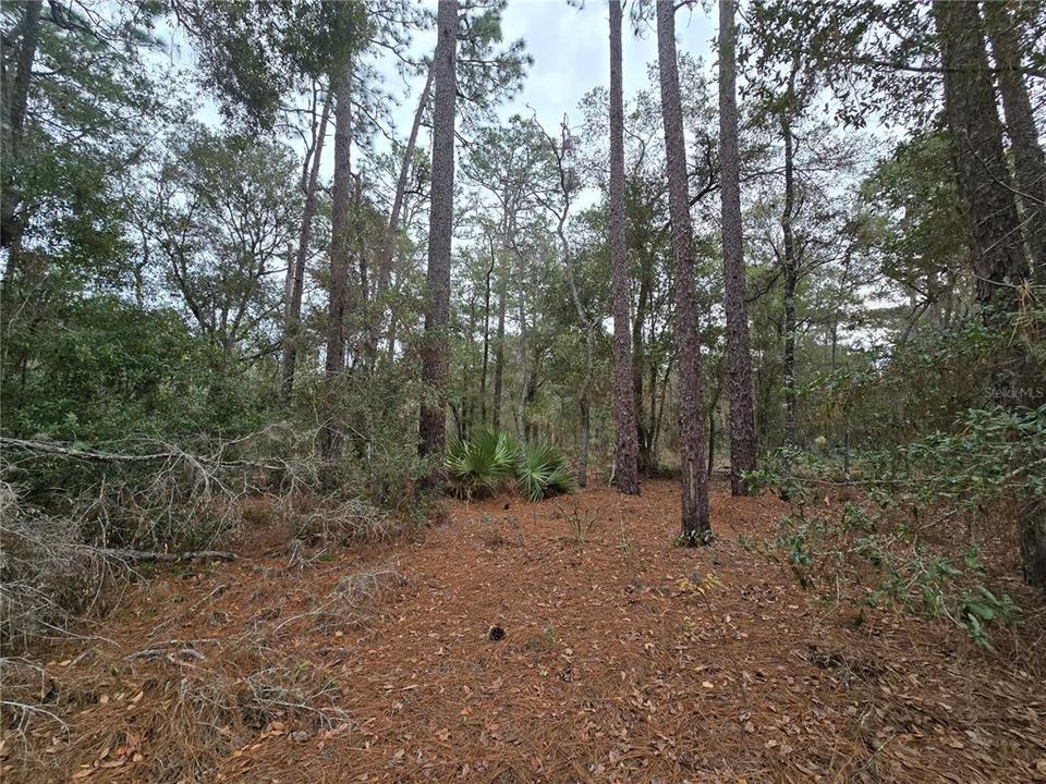 На продажу: $110,000 (5.07 acres)