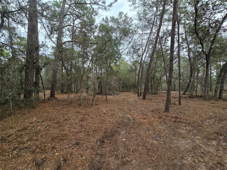 На продажу: $110,000 (5.07 acres)