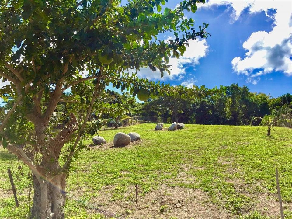 For Sale: $175,000 (0.47 acres)