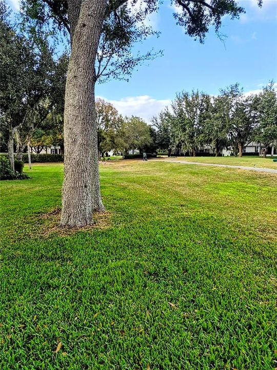 For Sale: $329,000 (3 beds, 2 baths, 1599 Square Feet)