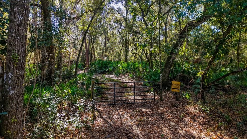 For Sale: $229,000 (27.12 acres)