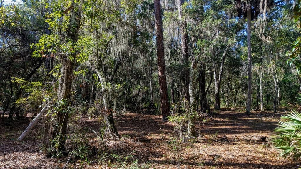 For Sale: $229,000 (27.12 acres)