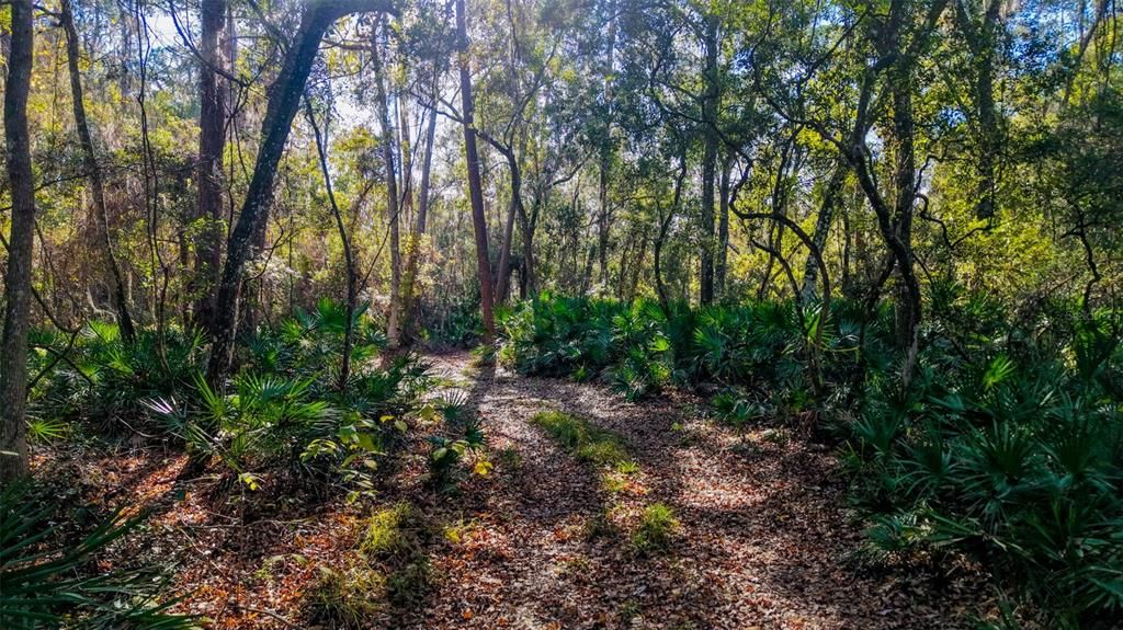 For Sale: $229,000 (27.12 acres)