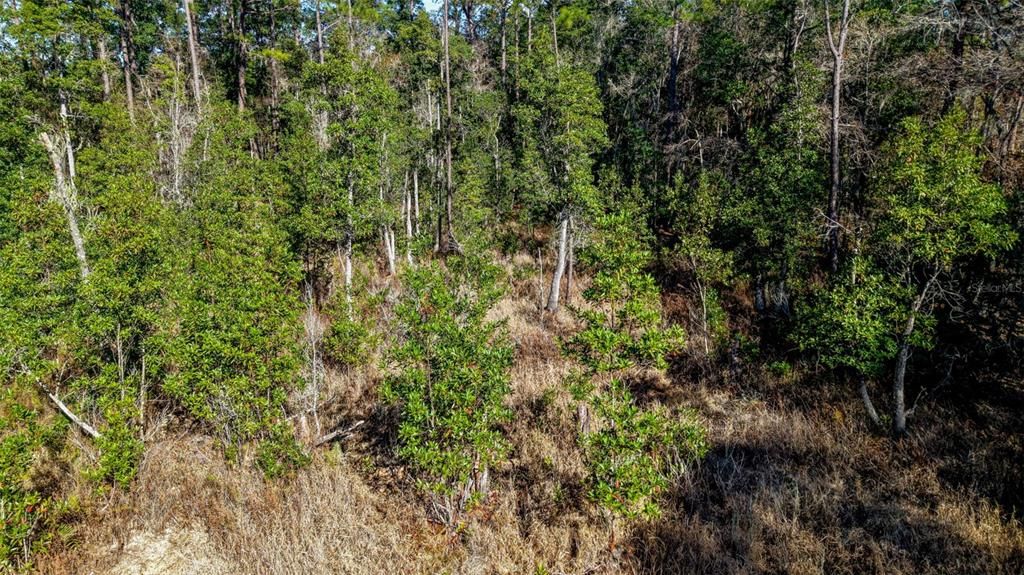 For Sale: $229,000 (27.12 acres)