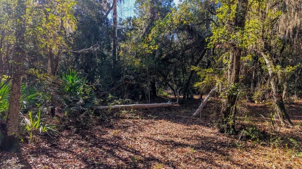 For Sale: $229,000 (27.12 acres)