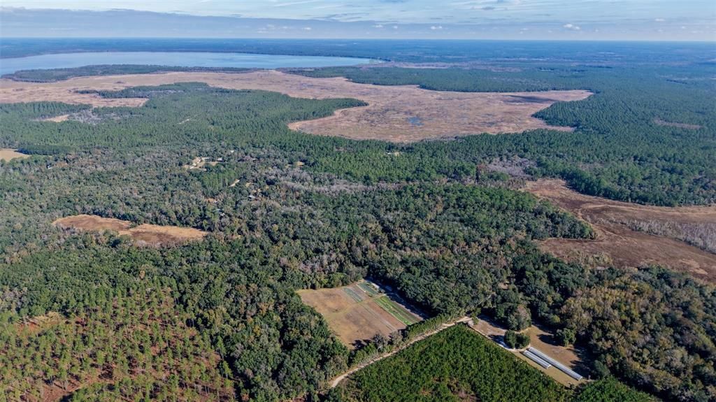 For Sale: $229,000 (27.12 acres)