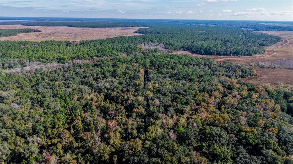 For Sale: $229,000 (27.12 acres)