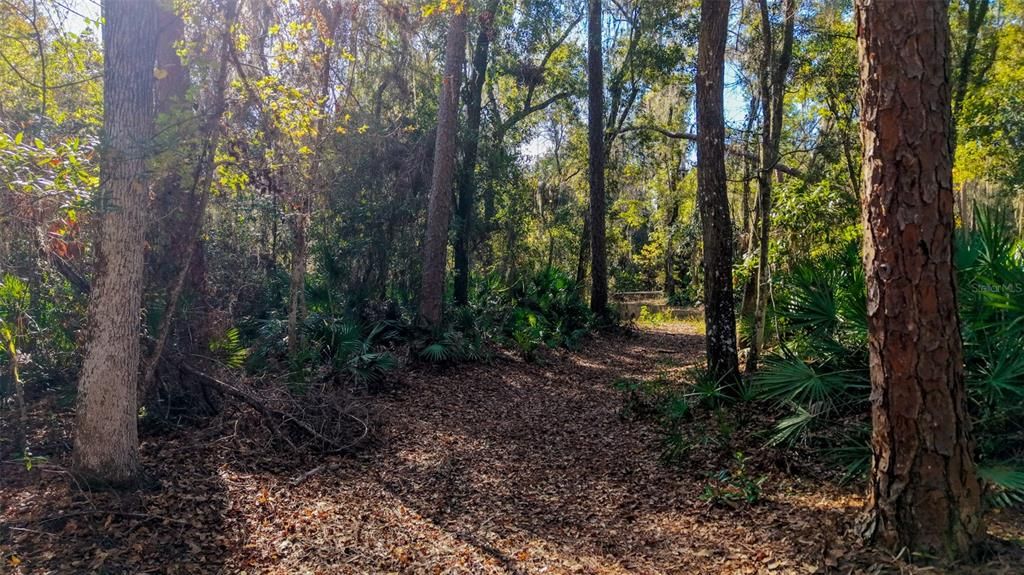 For Sale: $229,000 (27.12 acres)