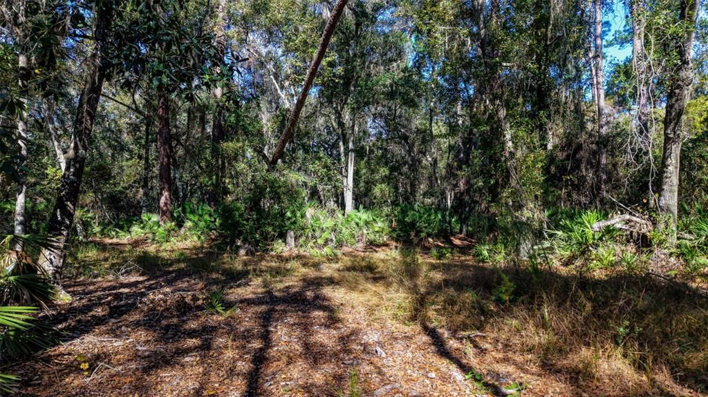 For Sale: $229,000 (27.12 acres)