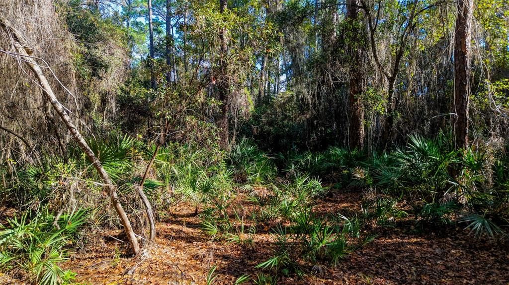 For Sale: $229,000 (27.12 acres)