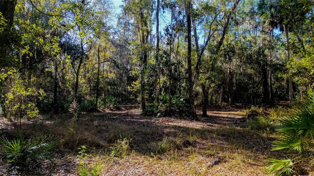 For Sale: $229,000 (27.12 acres)