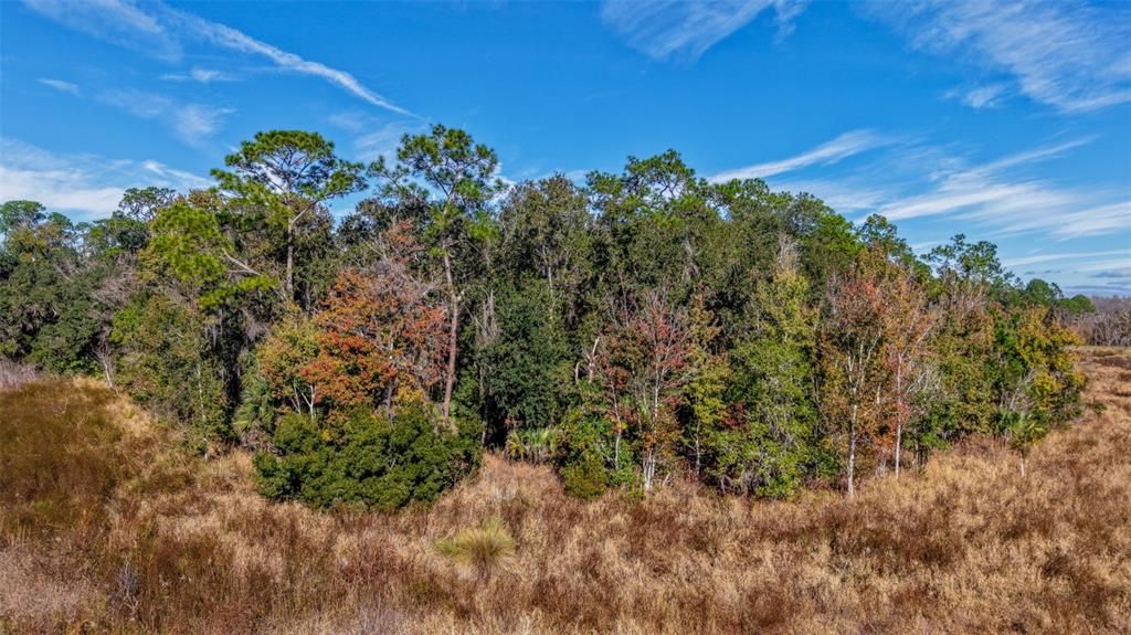 For Sale: $229,000 (27.12 acres)