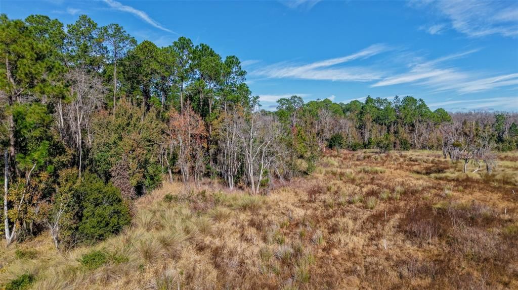 For Sale: $229,000 (27.12 acres)