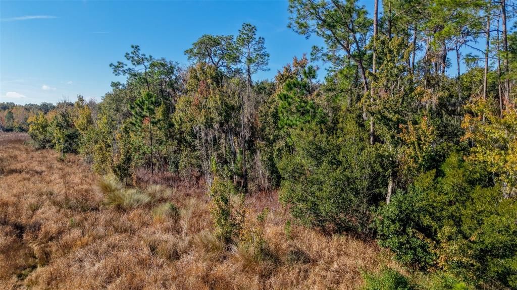 For Sale: $229,000 (27.12 acres)