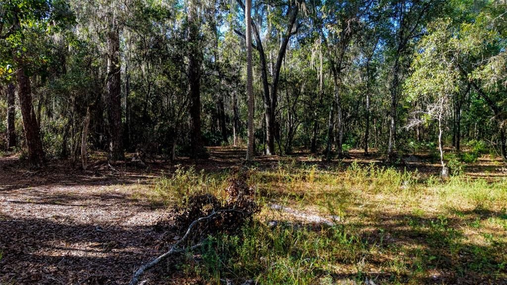 For Sale: $229,000 (27.12 acres)