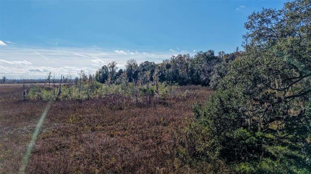 For Sale: $229,000 (27.12 acres)