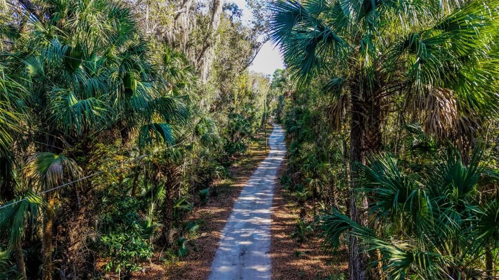 For Sale: $229,000 (27.12 acres)