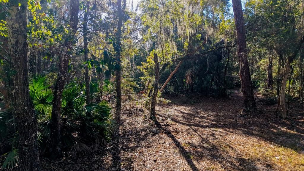 For Sale: $229,000 (27.12 acres)