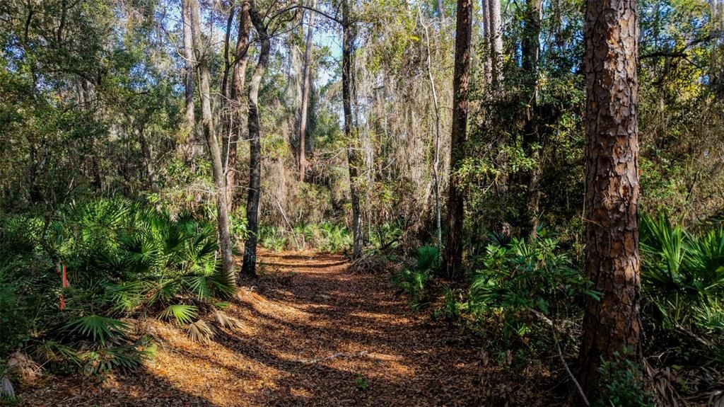 For Sale: $229,000 (27.12 acres)