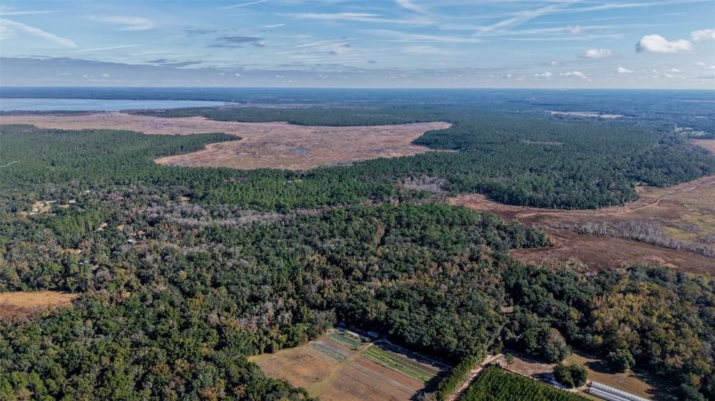 For Sale: $229,000 (27.12 acres)