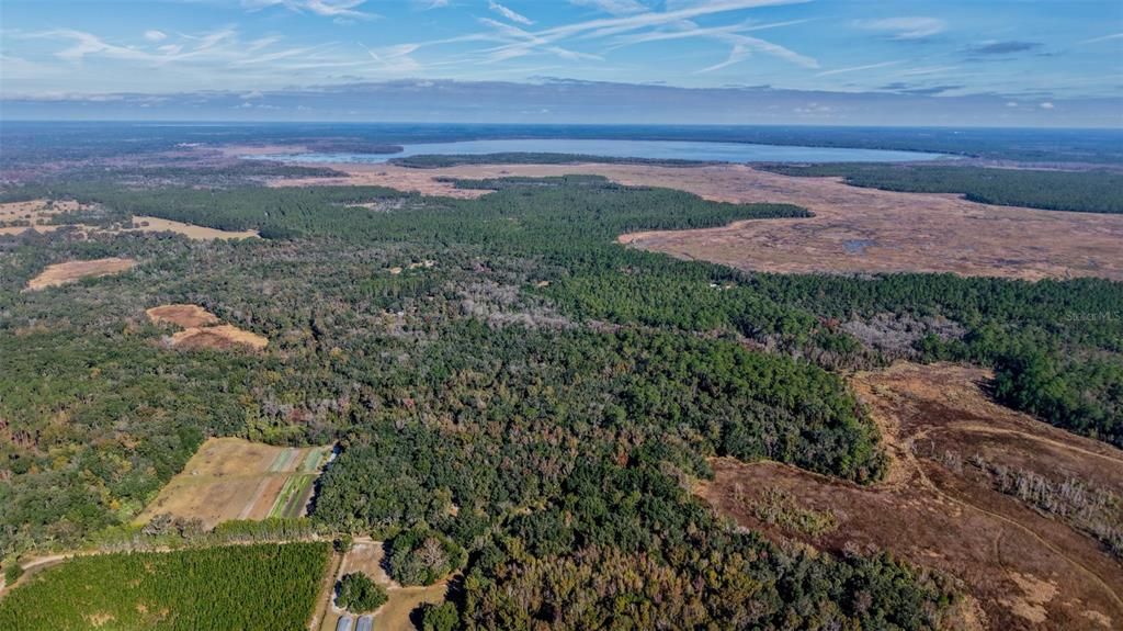 For Sale: $229,000 (27.12 acres)