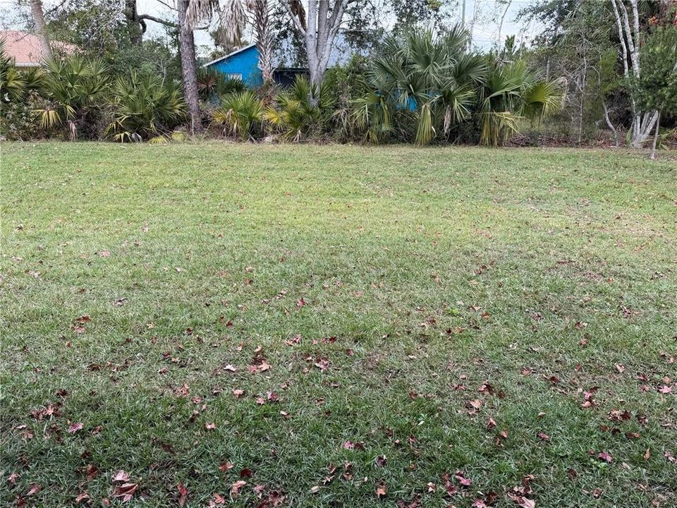 出租: $2,300 (3 贝兹, 2 浴室, 1587 平方英尺)