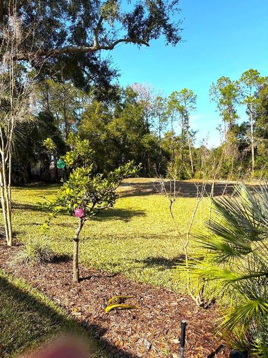 待售: $374,900 (3 贝兹, 2 浴室, 1977 平方英尺)