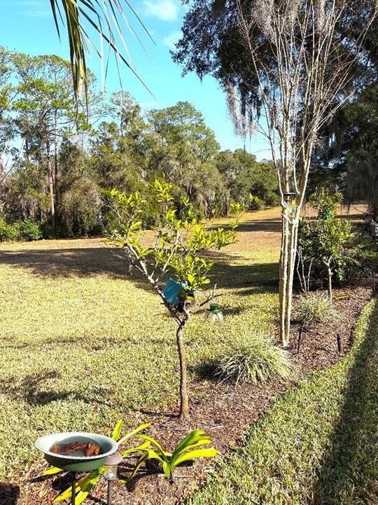 待售: $374,900 (3 贝兹, 2 浴室, 1977 平方英尺)