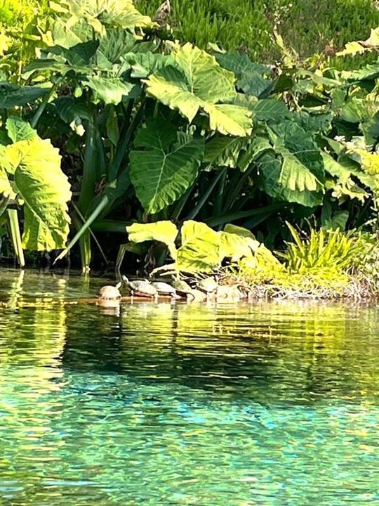 待售: $374,900 (3 贝兹, 2 浴室, 1977 平方英尺)