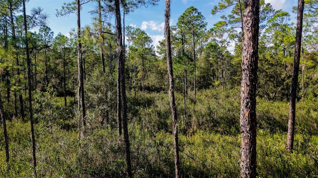 На продажу: $299,000 (29.99 acres)