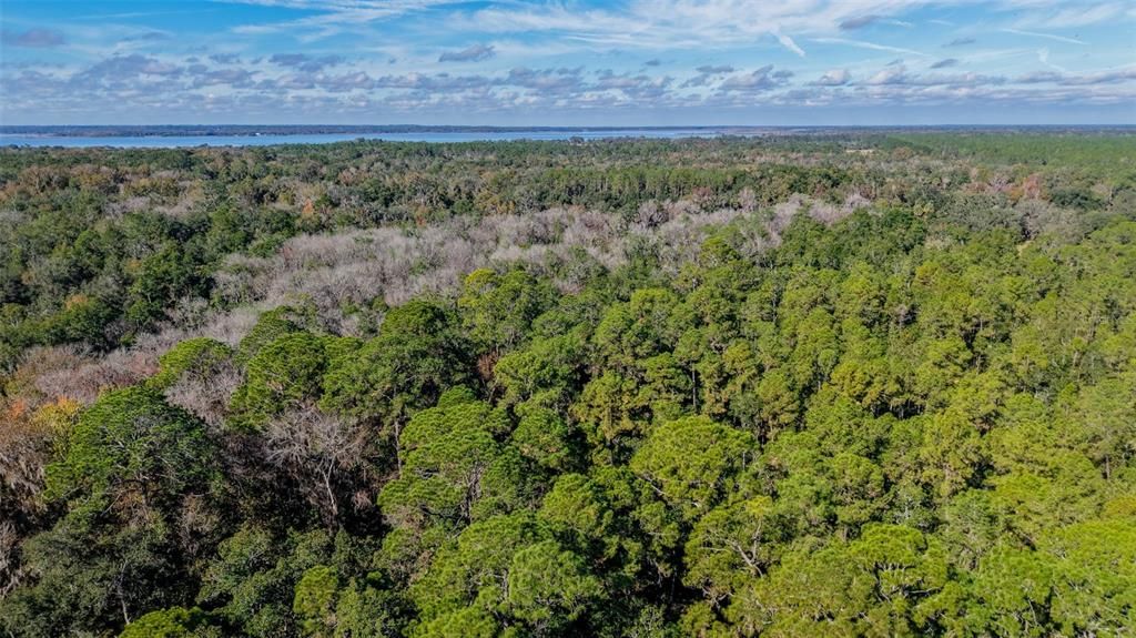 На продажу: $299,000 (29.99 acres)