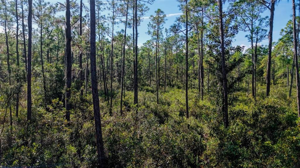 На продажу: $299,000 (29.99 acres)