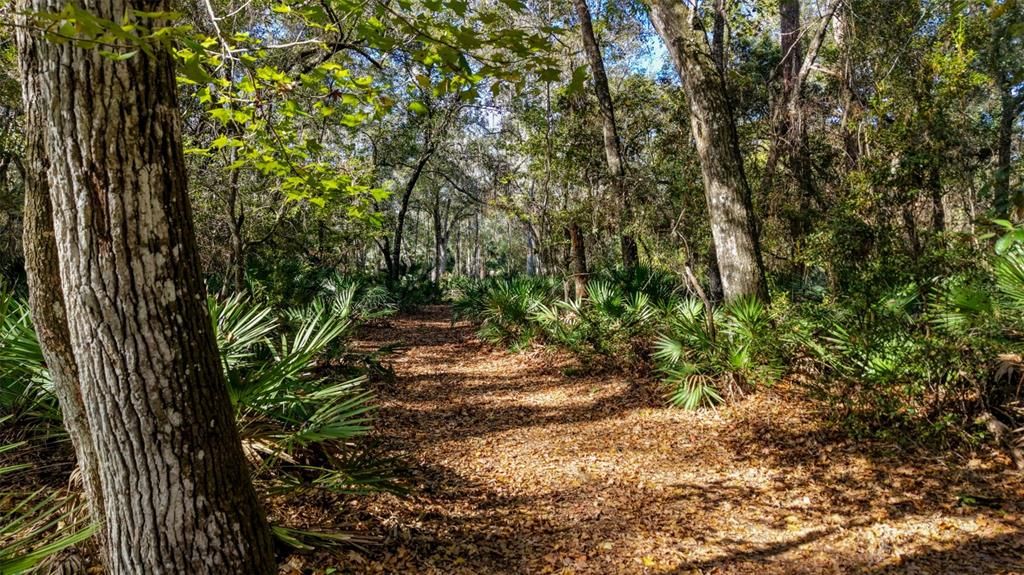 На продажу: $299,000 (29.99 acres)