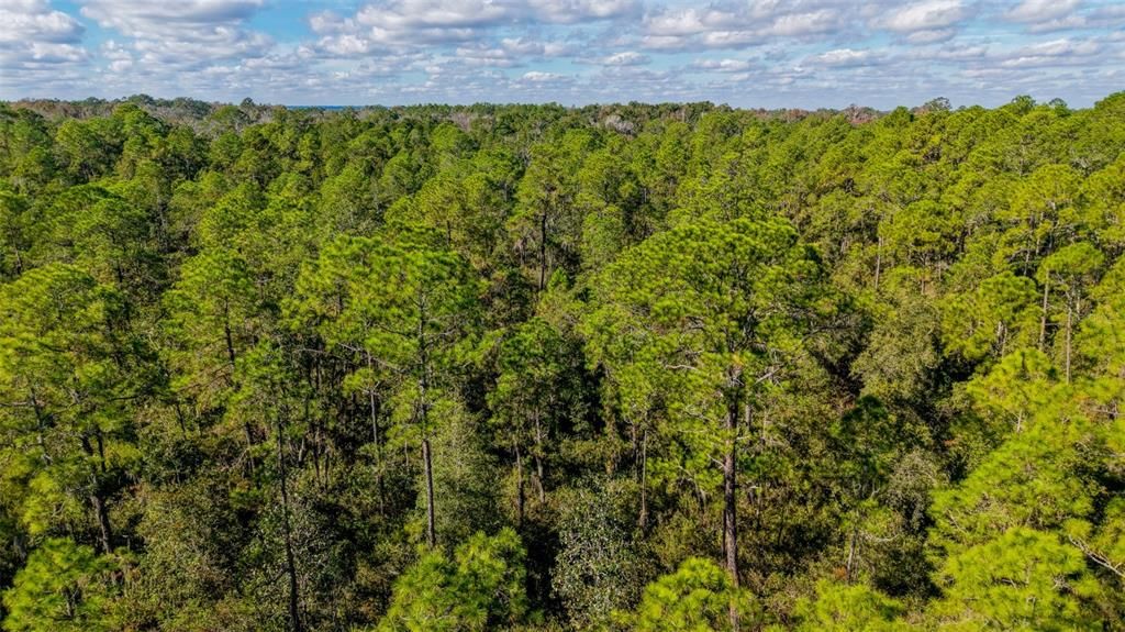 На продажу: $299,000 (29.99 acres)