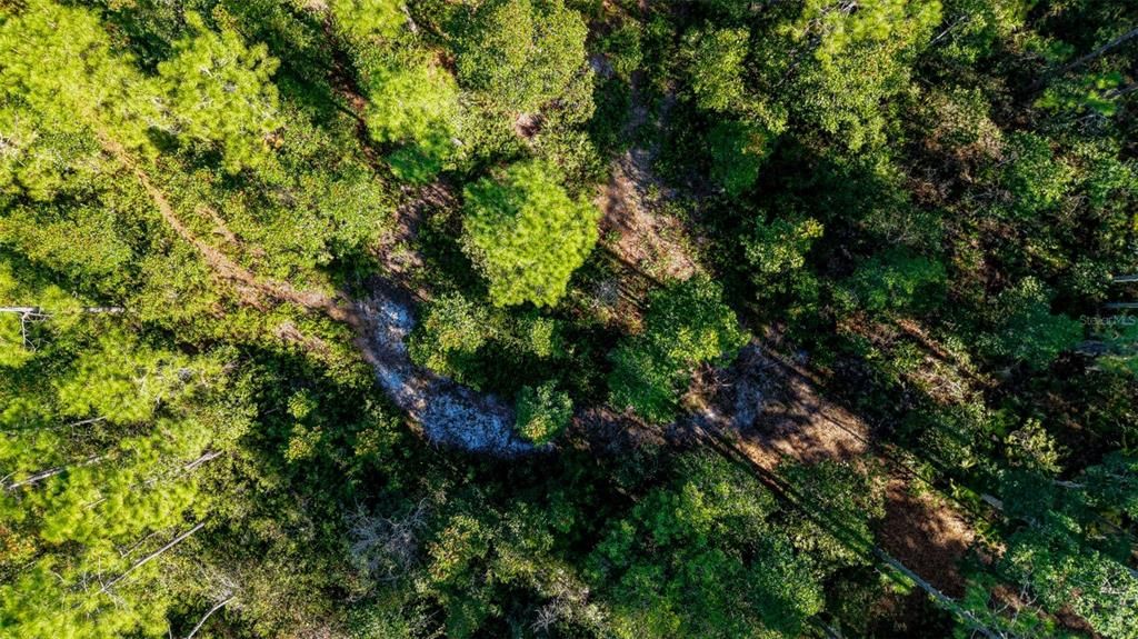 На продажу: $299,000 (29.99 acres)