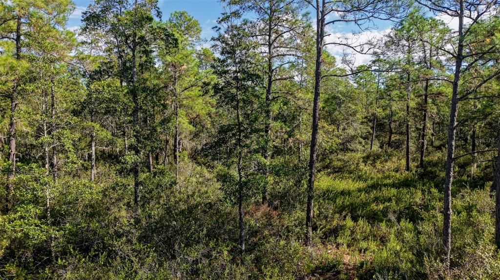 На продажу: $299,000 (29.99 acres)