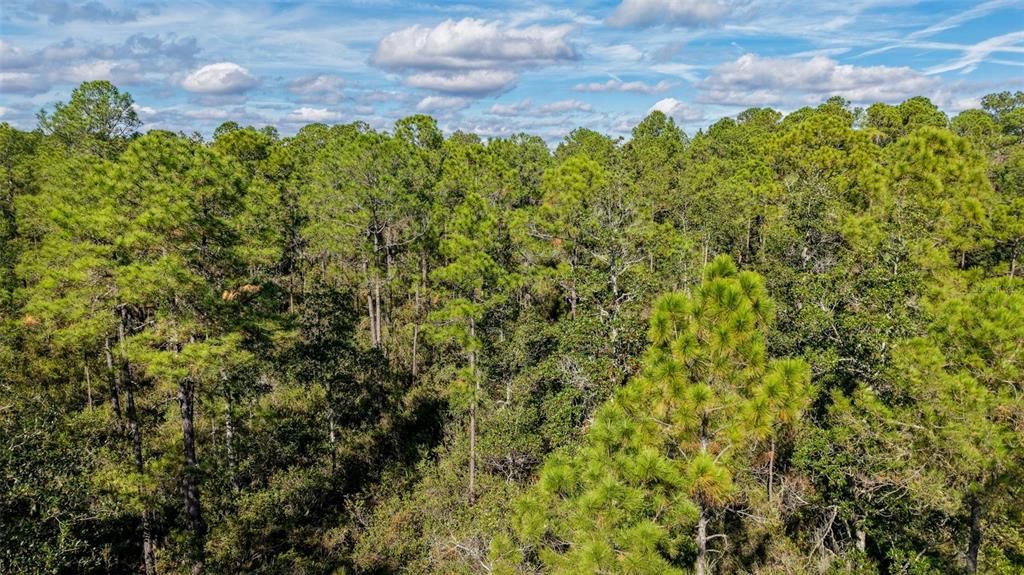 На продажу: $299,000 (29.99 acres)