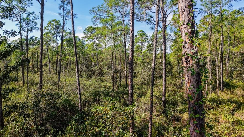 На продажу: $299,000 (29.99 acres)