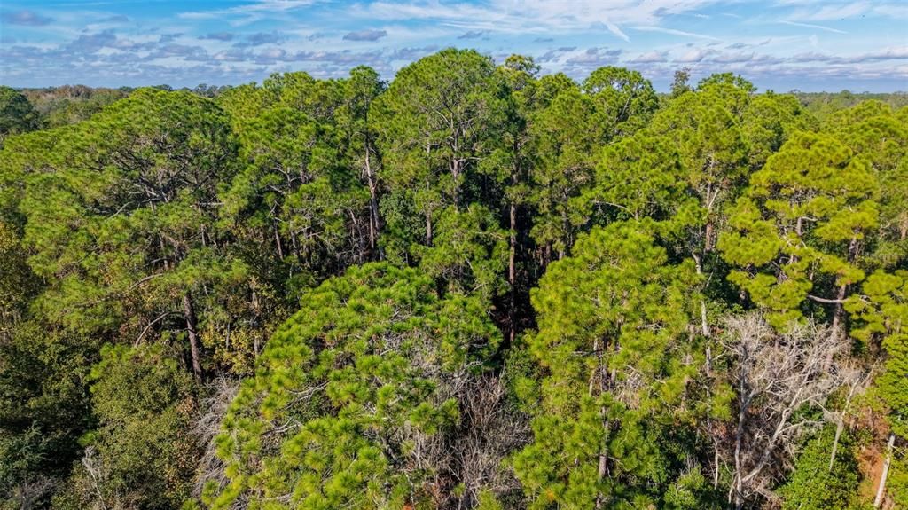 На продажу: $299,000 (29.99 acres)