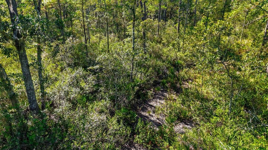 На продажу: $299,000 (29.99 acres)