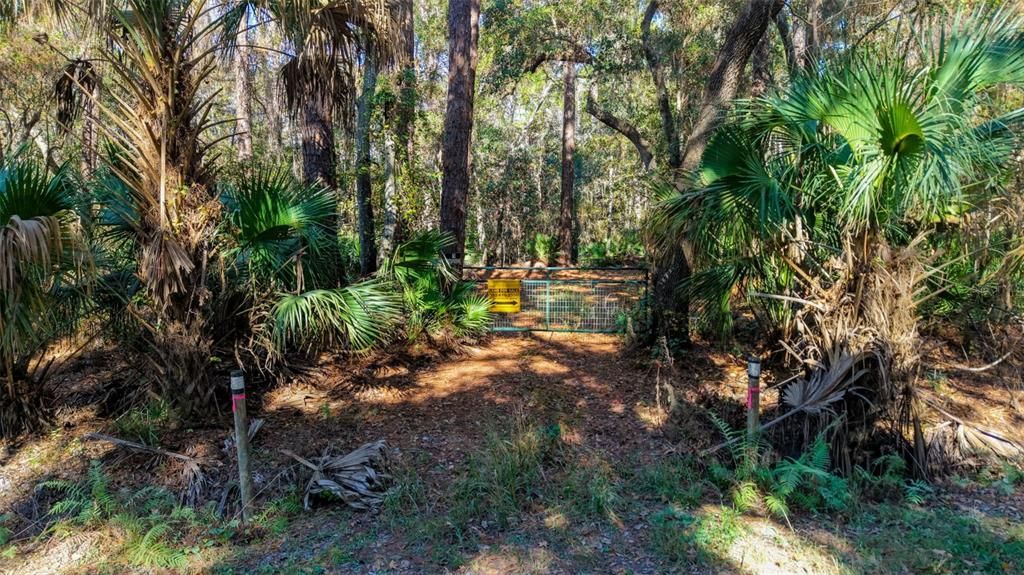 На продажу: $299,000 (29.99 acres)