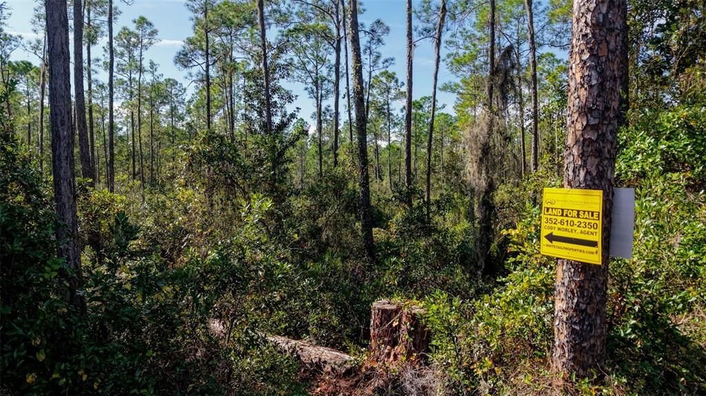 На продажу: $299,000 (29.99 acres)